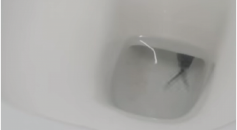 Lagarto gigante sai de vaso sanitário e surpreende turistas na Tailândia.