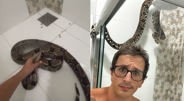 VÍDEO: Jiboia de 3 metros de comprimento viraliza ao tomar banho de chuveiro 