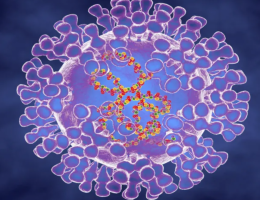 Vírus da varíola do macaco