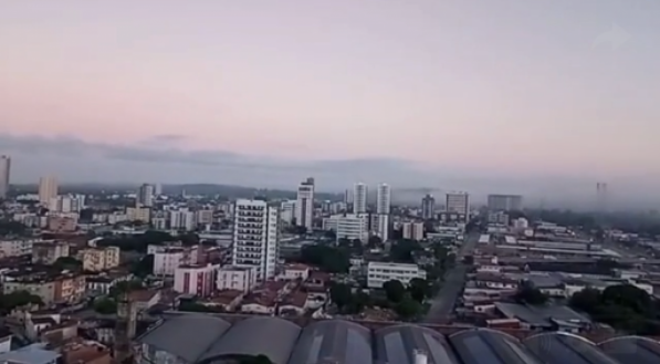 Reprodução