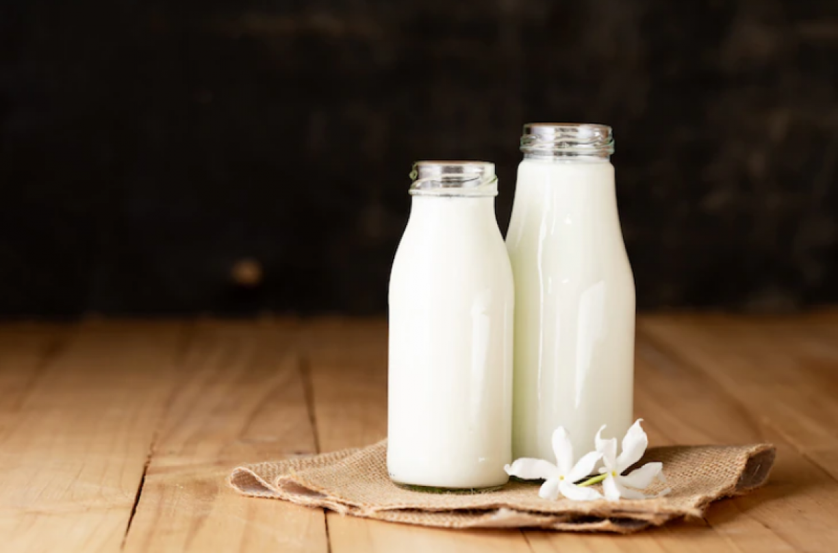 Qual o melhor leite para emagrecer? Saiba como escolher entre laticínios integrais ou desnatados