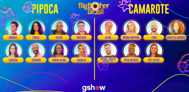 QUANTOS PARTICIPANTES TEM NO BBB 23? QUE DIA ESTREIA O BBB 23? Veja ...