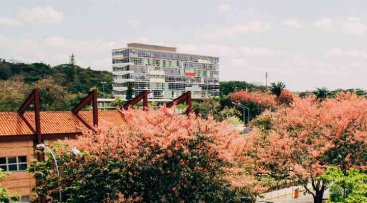 SiSU na UFMG: vagas, cursos, como participar - Brasil Escola