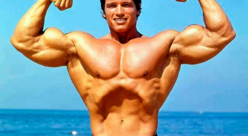 Arnold Schwarzenegger 