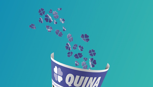  Quina