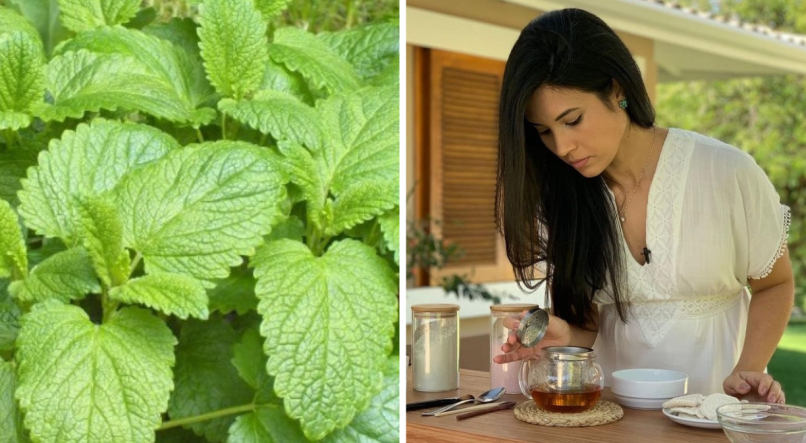 A naturóloga Renata explica os benefícios do chá de erva-cidreira para a saúde