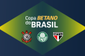 Copa do Brasil 2024