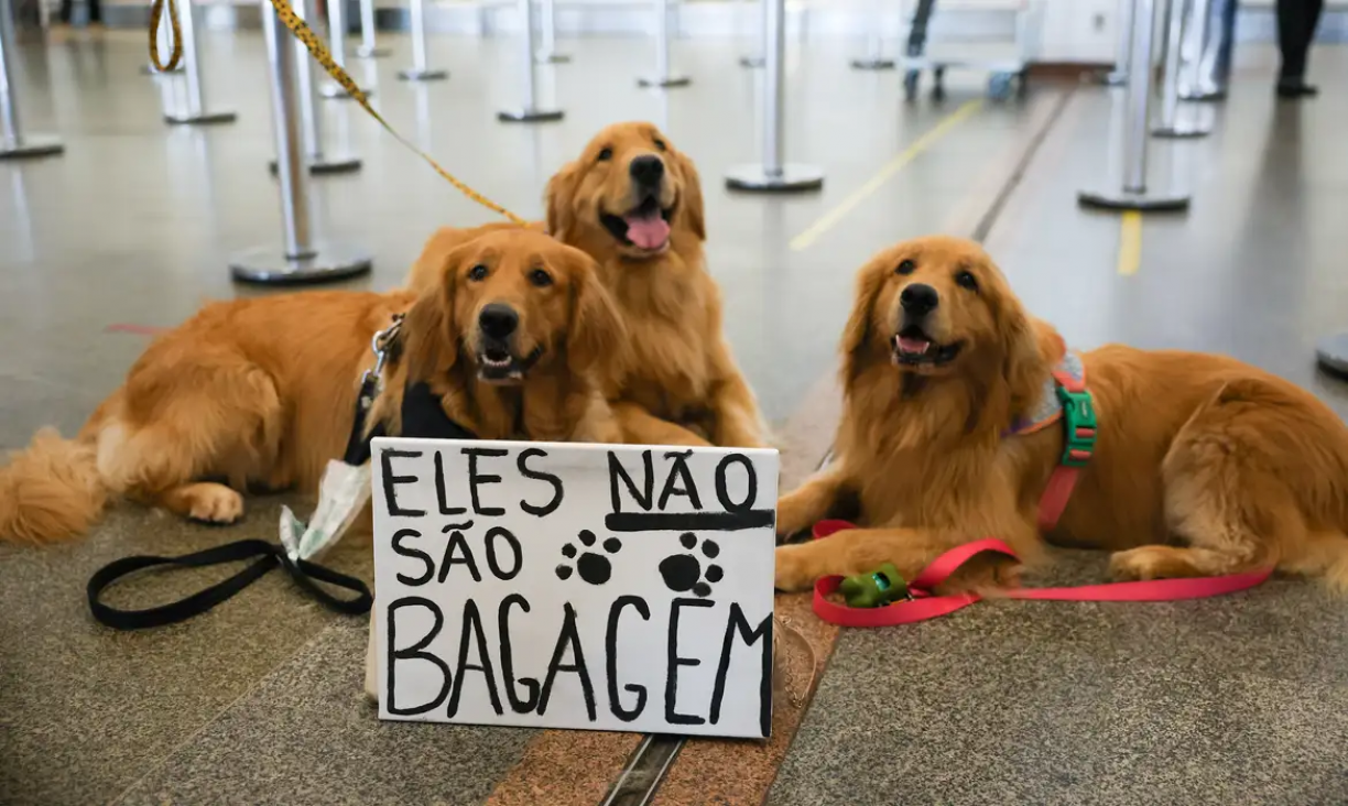 Fabio Rodrigues-Pozzebom/ Agência Brasil