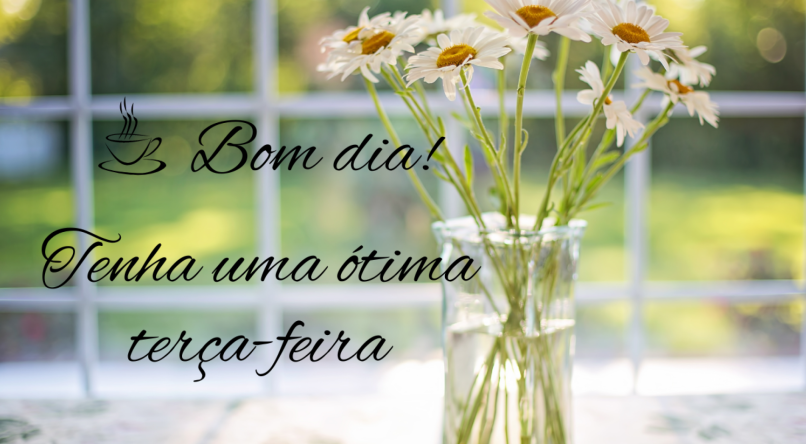 Imagem ilustrativa de jarro de flores com a mensagem de bom dia terça-feira