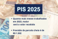 PIS 2025