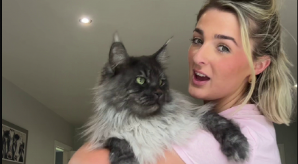 Imagem de mulher com seu gato Maine Coon