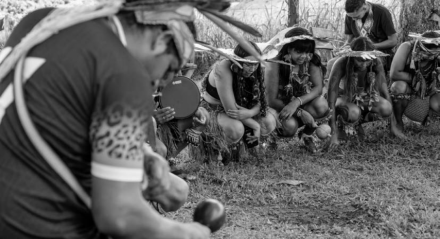 Conflitos em territórios, invasões e exploração ilegal: as violências vividas pelos indígenas em Pernambuco
