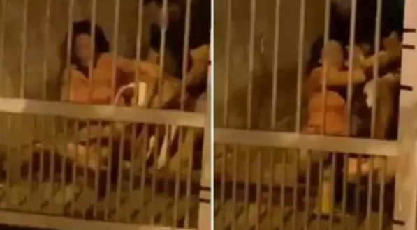 Imagem do momento em que a vítima foi atacada por cachorro da raça Pitbull. O caso foi registrado como tentativa de feminicídio, sequestro e cárcere privado, injúria e ameaça na Delegacia de Peruíbe. 