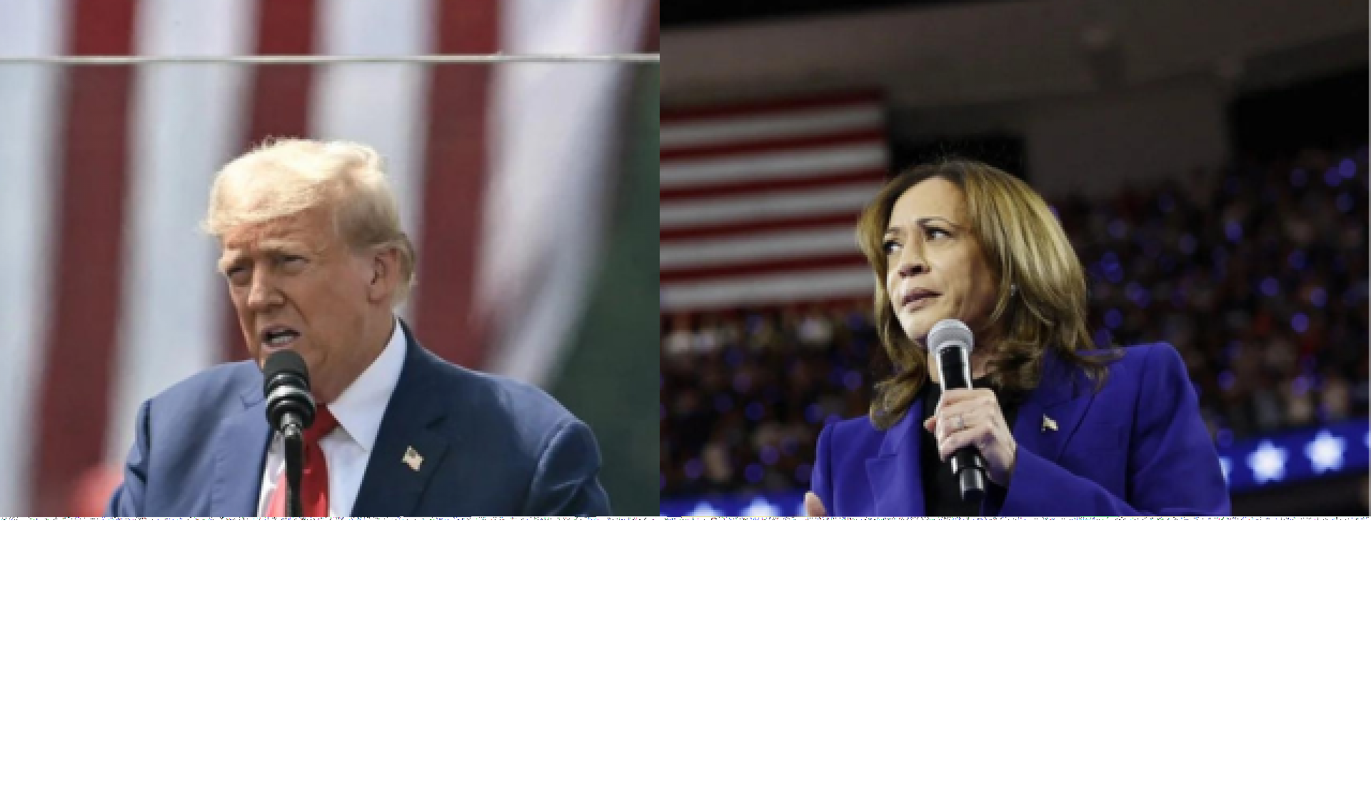 Donald Trump e Kamala Harris nunca se encontraram pessoalmente