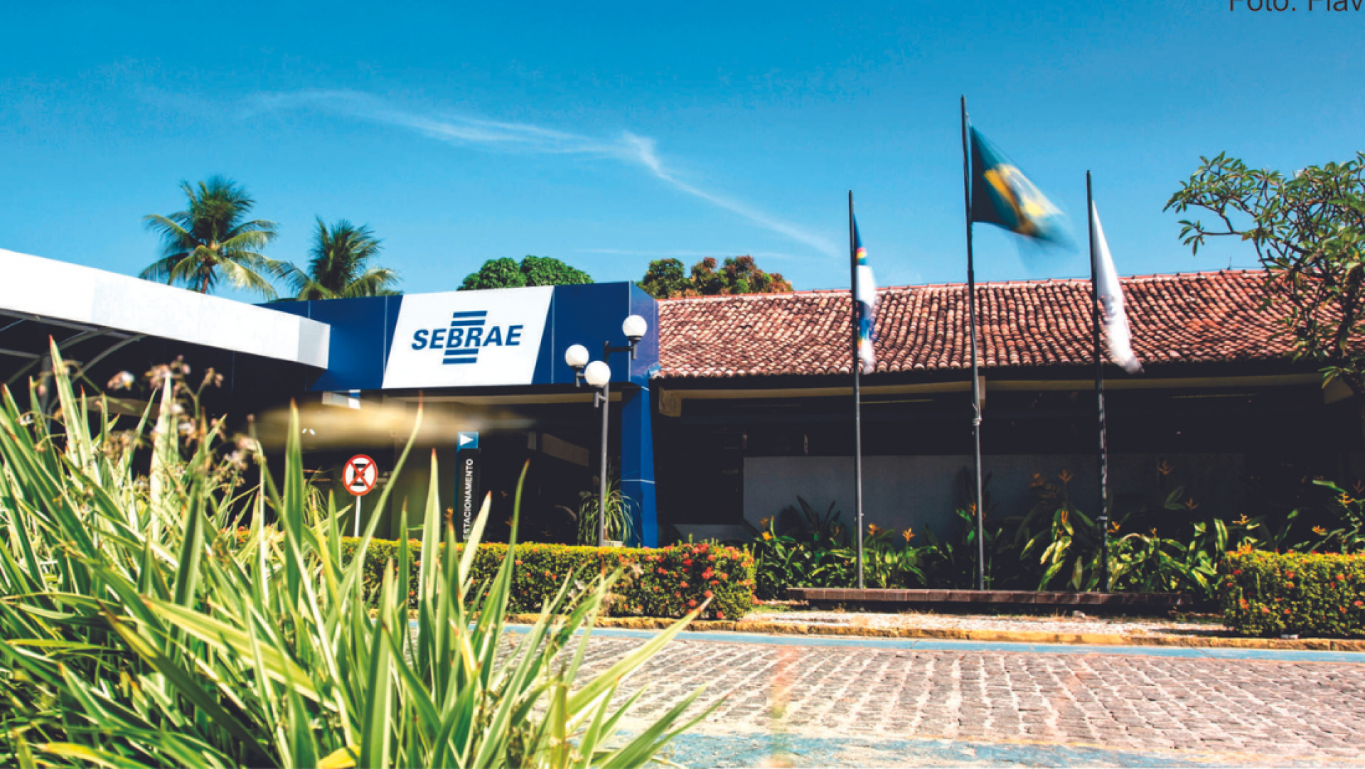empreedorismo