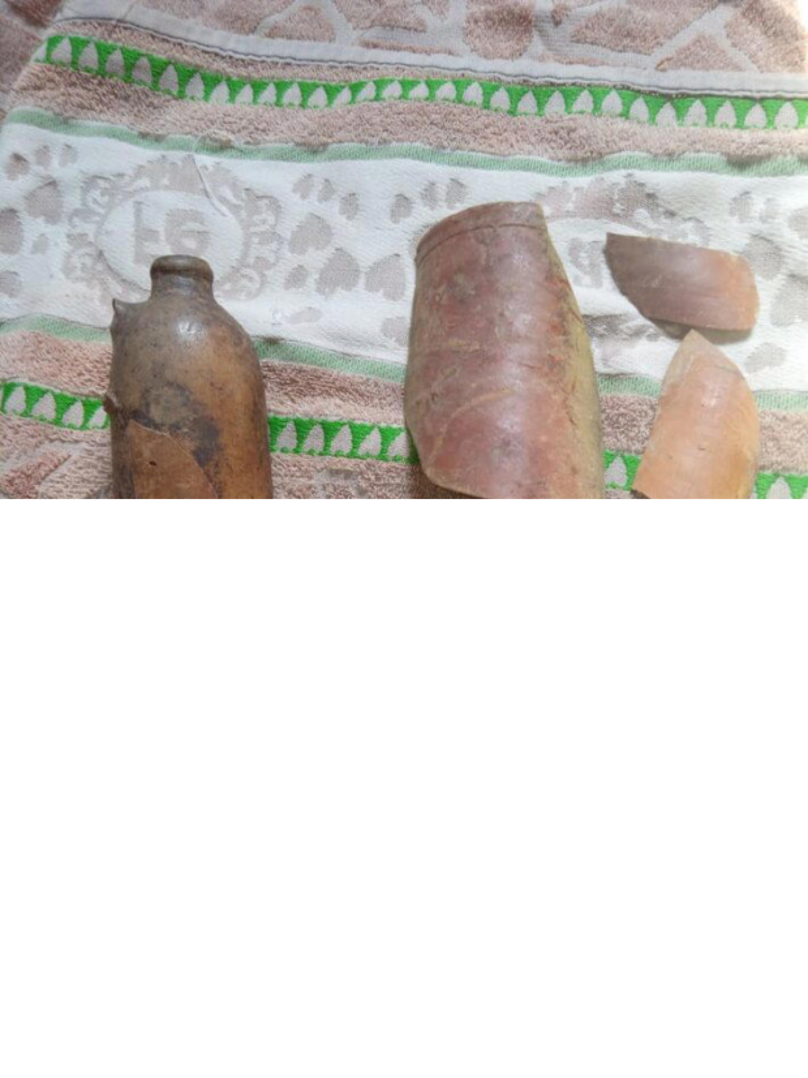  Tio e sobrinho encontraram as peças de cerâmica parcialmente submersas