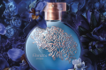 Recomendações de Perfumes