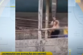 VIOLÊNCIA