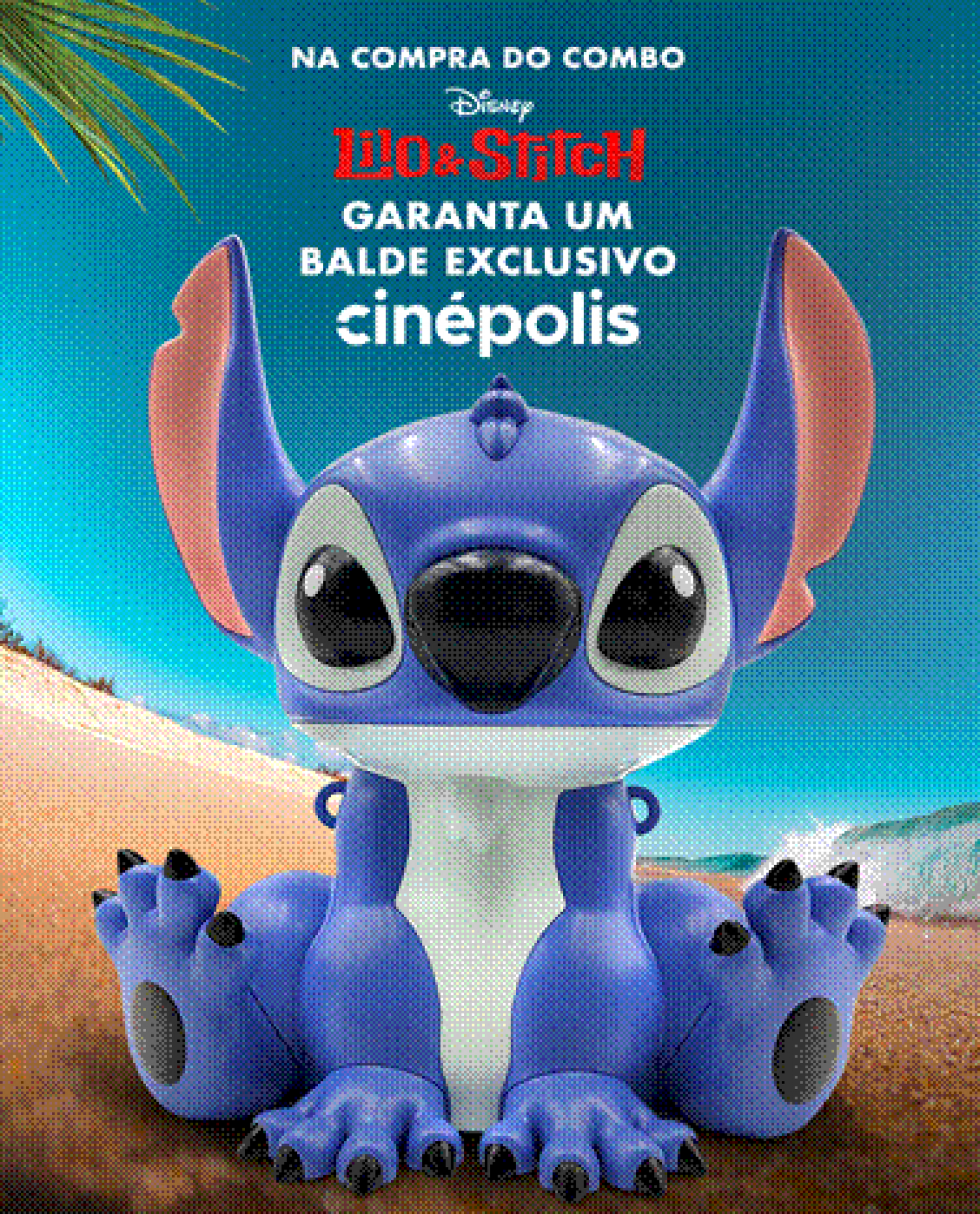 Divulgação