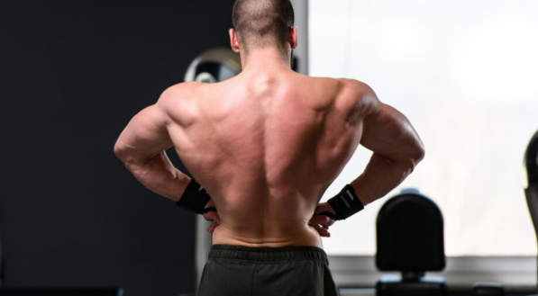 4 exercícios para fortalecer a dorsal