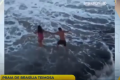 BRASÍLIA TEIMOSA