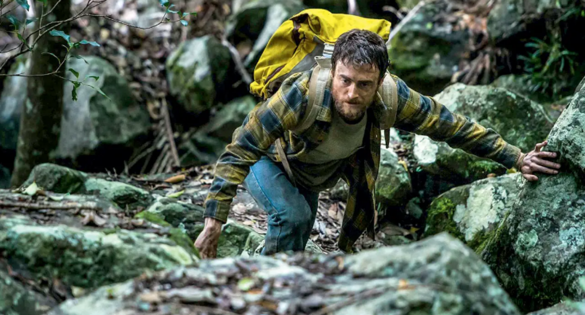 Imagem de Daniel Radcliffe, em Na Selva

