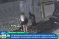 Violência 