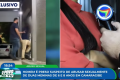 Violência Infantil