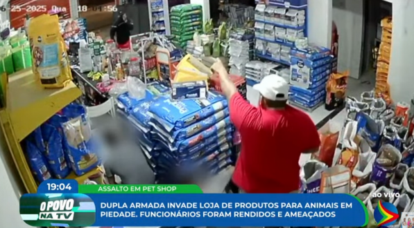 titulo