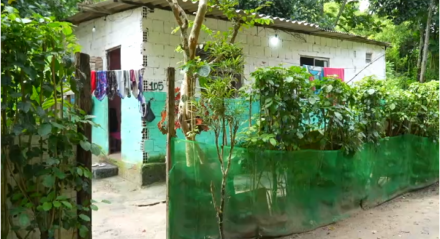 A casa fica bem próxima à região de mata