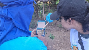 O projeto utiliza tecnologia através de aplicativo e teste rápido