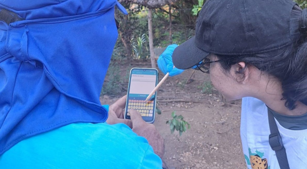 O projeto utiliza tecnologia através de aplicativo e teste rápido