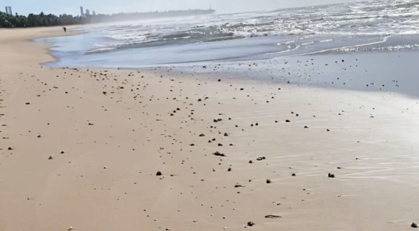 Manchas de óleo reaparecem no litoral de Pernambuco e assustam frequentadores