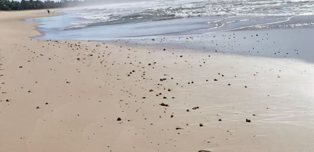 Manchas de óleo reaparecem no litoral de Pernambuco e assustam frequentadores