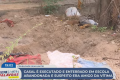 Brutalidade
