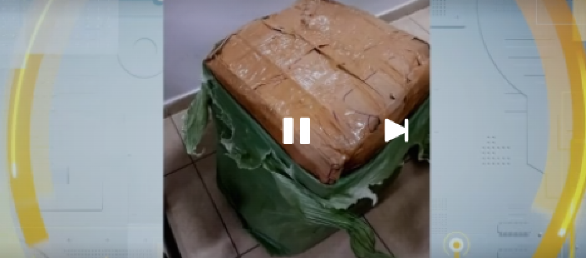 Operação intercepta 21 kg de maconha em terminal rodoviário do Recife