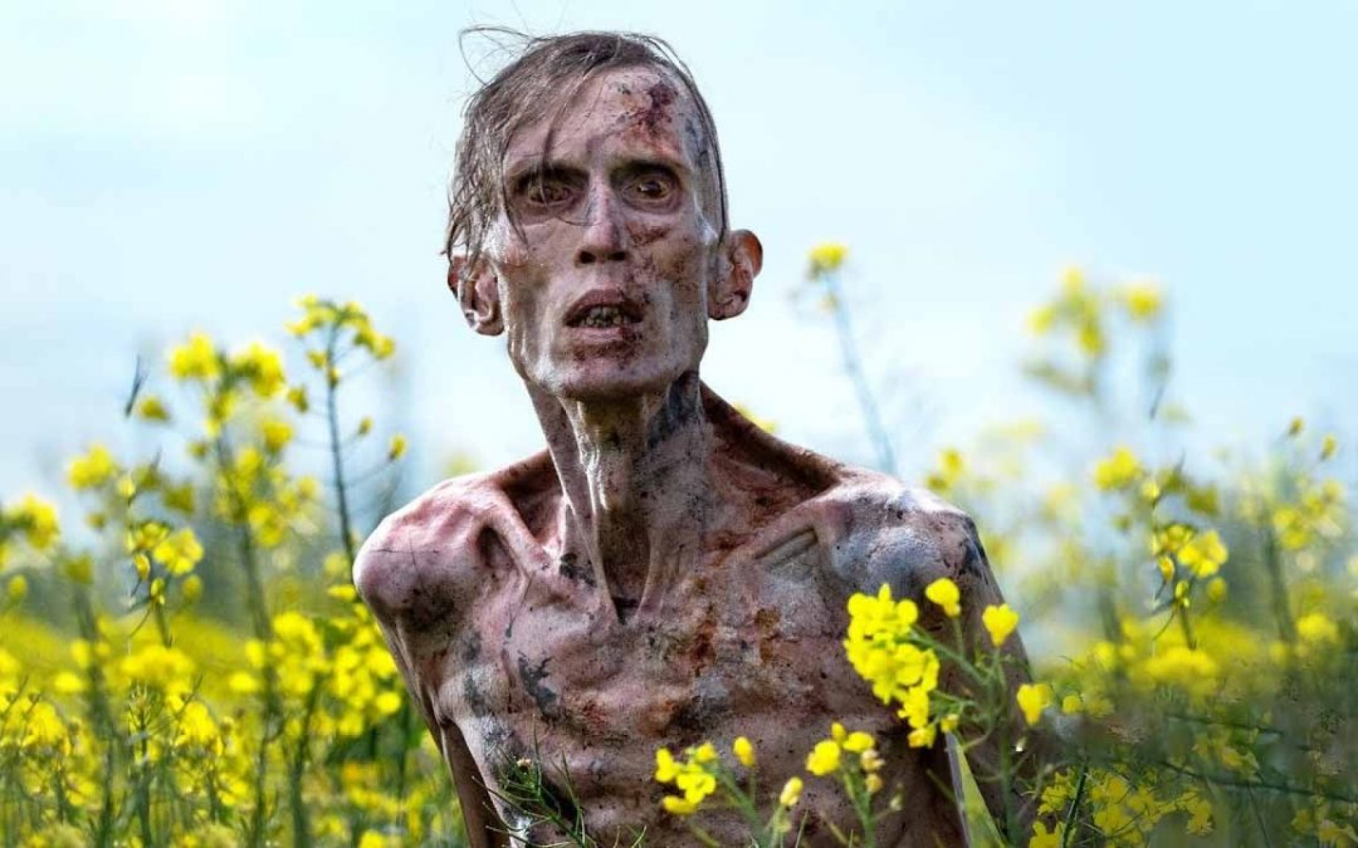 Os 5 melhores filmes de terror de 2025 até agora!