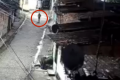 Homicídio Investigado