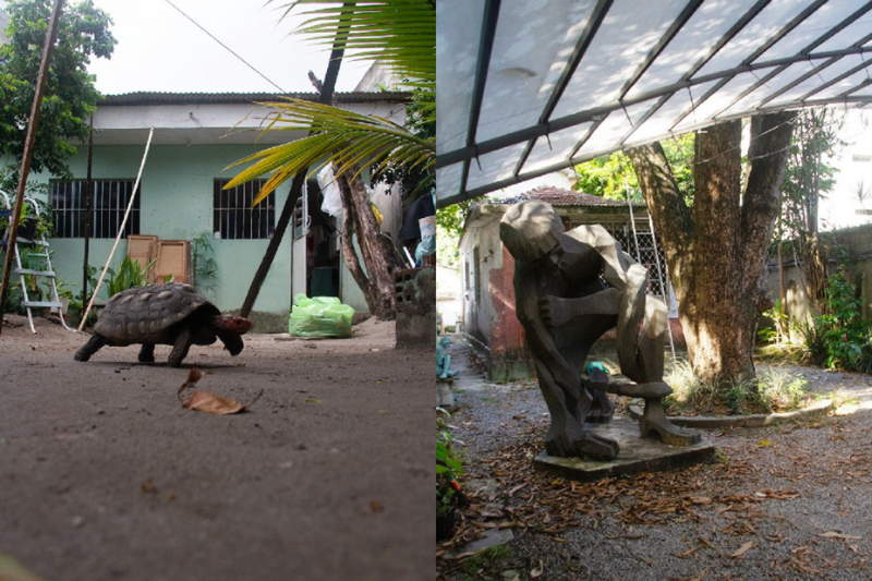 Imagens da mostra 'Quintais – Memórias Afetivas e Transformações Urbanas', assinada pela fotógrafa Valéria Gomes