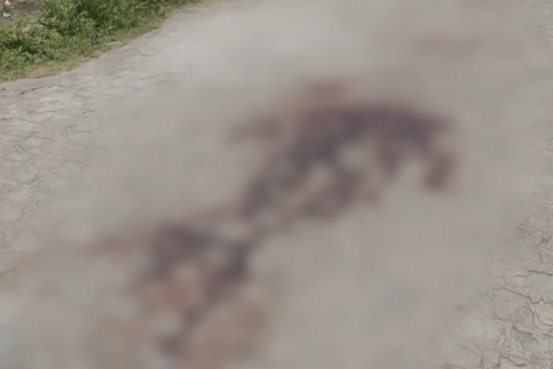 Policial Militar reage a assalto e mata criminoso na Zona Norte do Recife