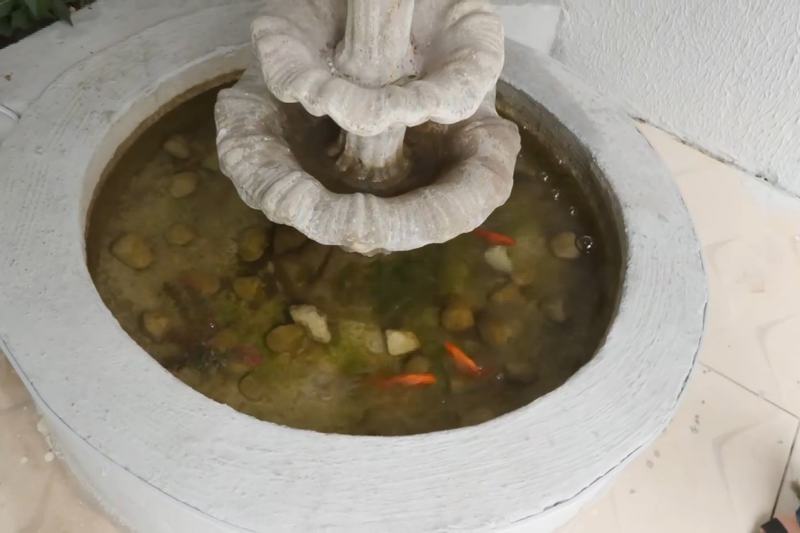 Fonte que fica em frente a funerária 