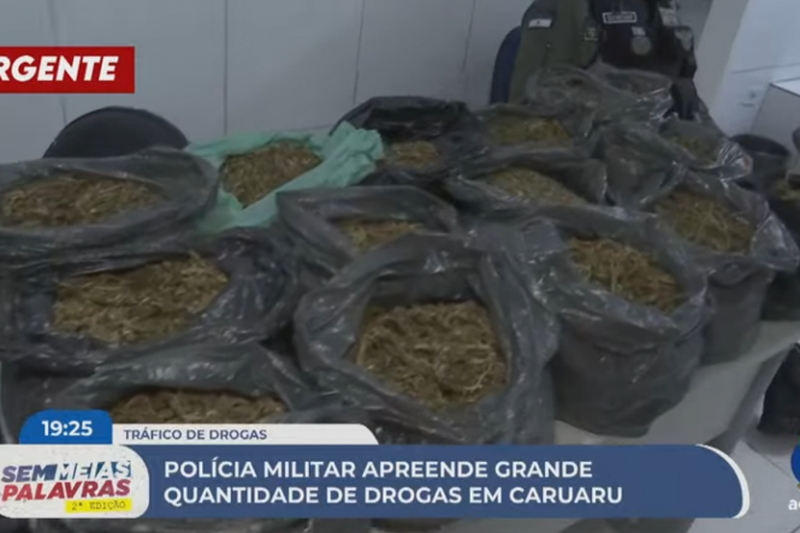 Imagem de sacos de maconha localizados em Caruaru