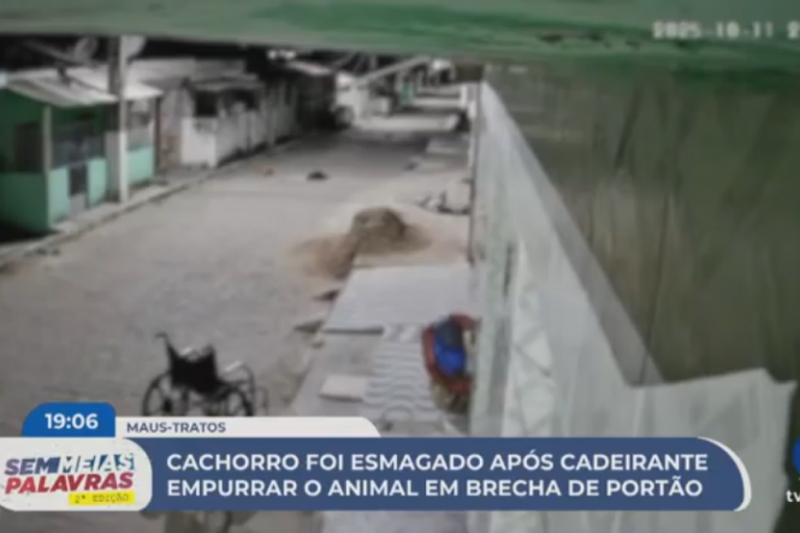 Imagem de homem cadeirante tentando colocar cachorro em brecha de portão
