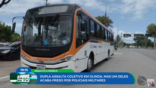 onibus