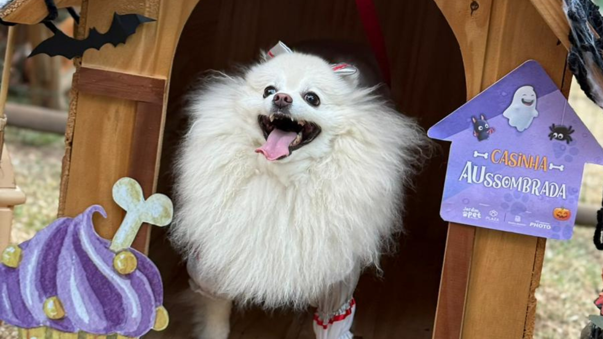 Plaza Shopping promove nova edição do Haulloween Pet