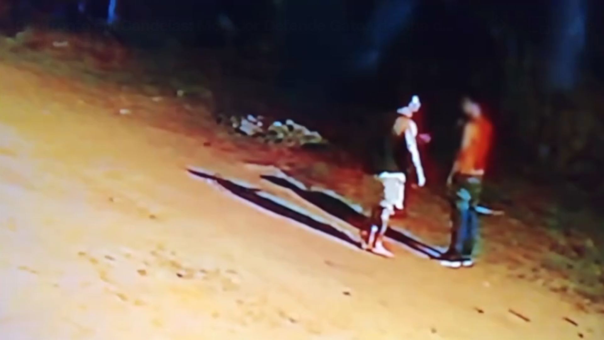 Homem atira pedras contra gatos e troca soco com morador que reclamou dos maus-tratos