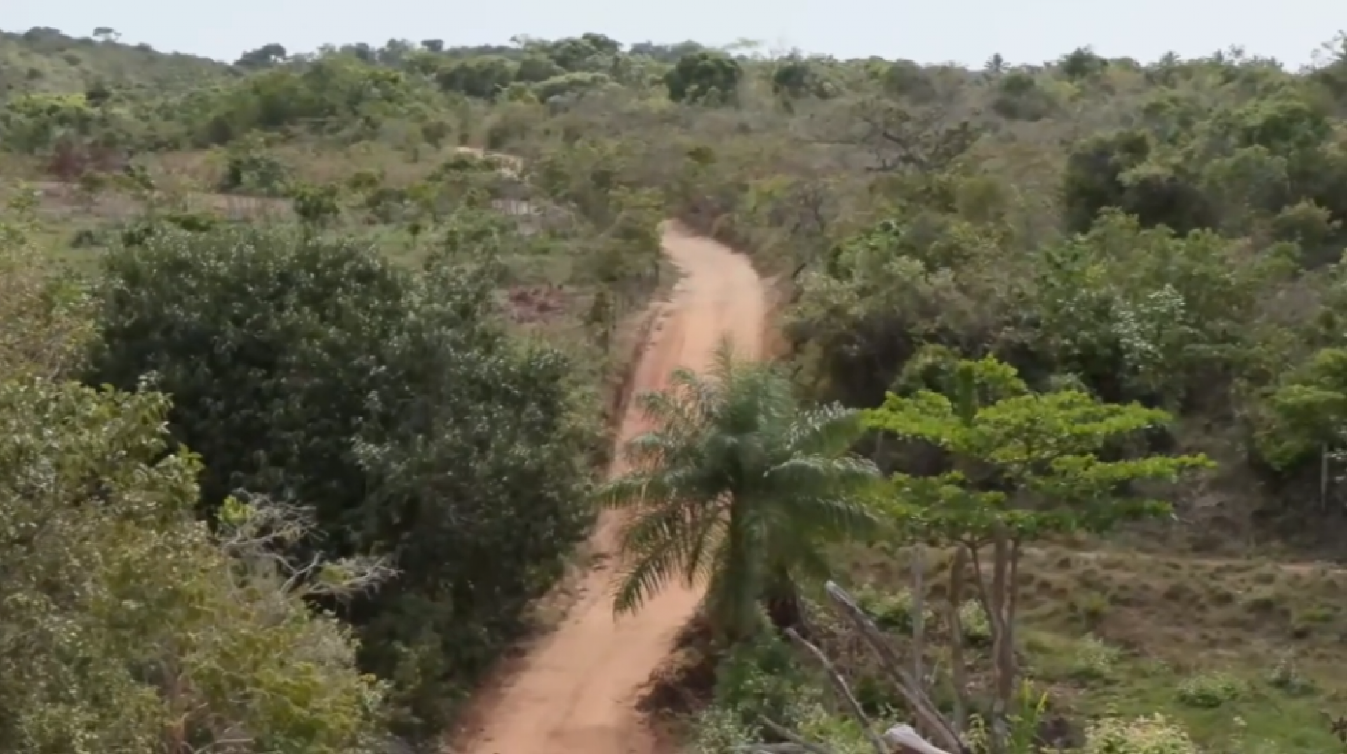 Família é alvo de ataque a tiros em estrada de barro no Alto da Felicidade