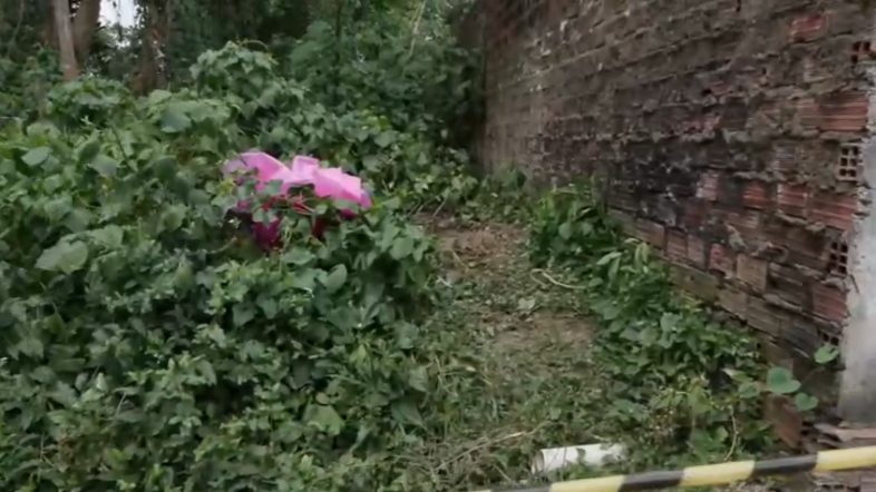 Corpo de mulher é encontrado em terreno baldio na Região Metropolitana do Recife