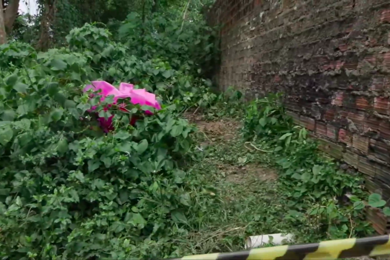 Terreno baldio onde a vítima foi encontrada 