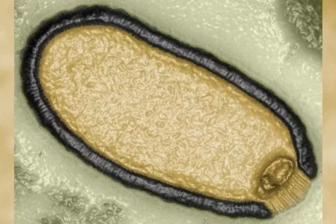 Vírus "zumbi" que passou 48.500 anos congelado no permafrost reativado